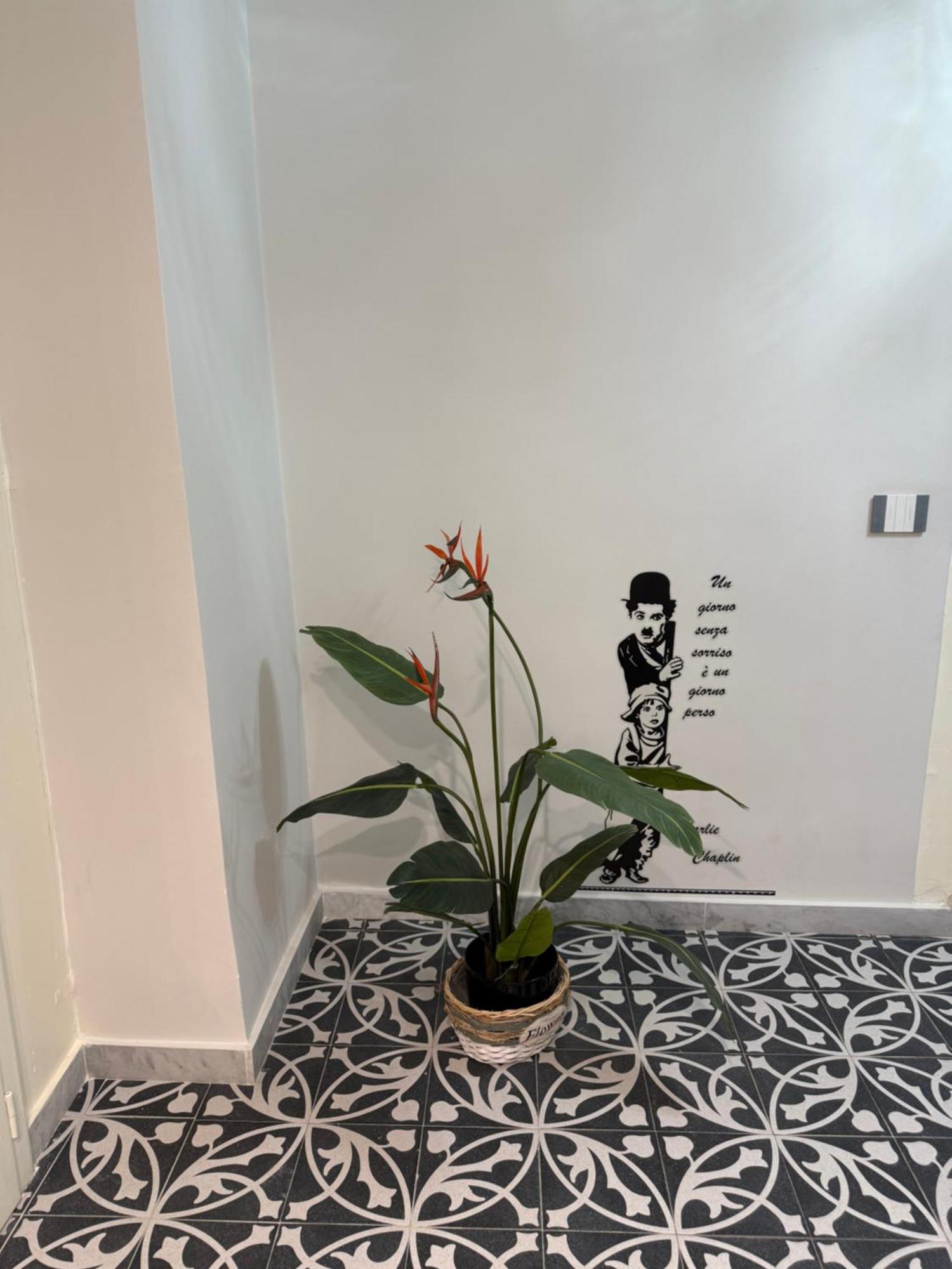 팔레르모 Elisir House 빌라 외부 사진